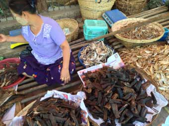 Marine Dolphin meat in Pyay market Marine Dolphin meat in Pyay market