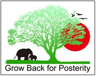 Grow Back for Posterity Myanmar