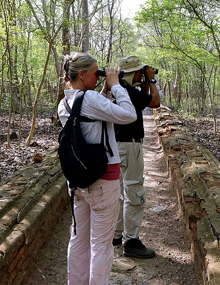 Bird watching in Tawyagyi WS