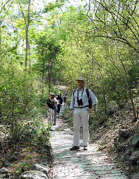 Forest path in Tawyagyi WS