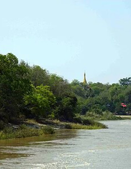 Forest at Sheinmaga-Tawyagyi WS